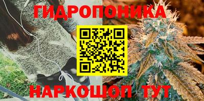 MESCALINE Обнинск