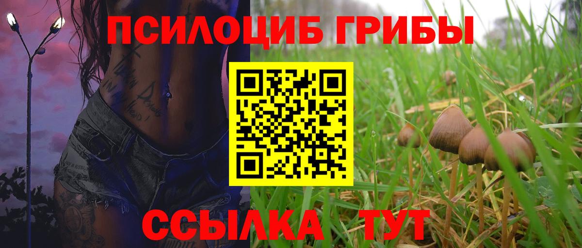 Печора  что такое   Галлюциногенные грибы мицелий  Вход с VPN  Галлюциногенные грибы мухоморы 